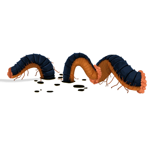 Decimillipede