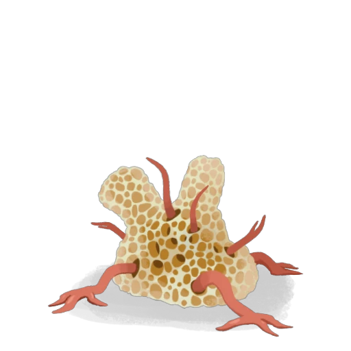Fossil Stalker