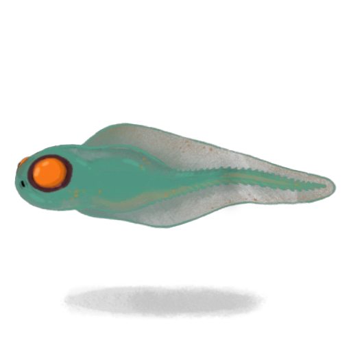 Toadpole