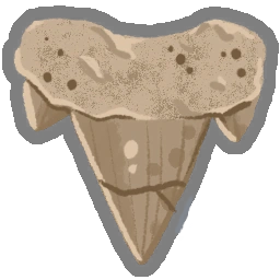Archaic Tooth